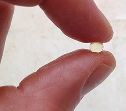 photo of two fingers holding a small rescue remedy liquid melt