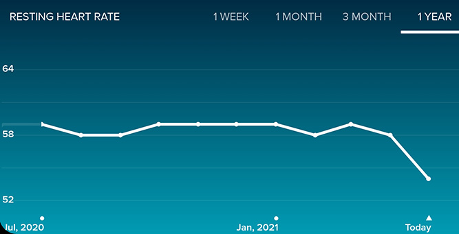 screenshot of my fitbit app showing my resting heart rate