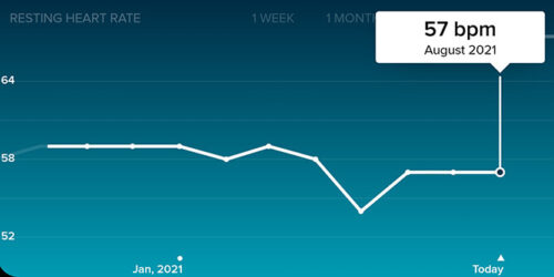 screenshot from the fitbit app showing ethan green's resting heart rate in the last year